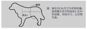 Male dog pants-a