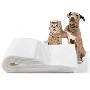 Pet Urine Absorbent Paper